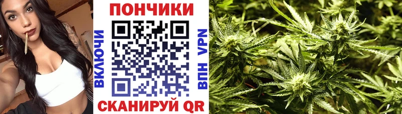 Марихуана SATIVA & INDICA  наркошоп  Алексеевка 